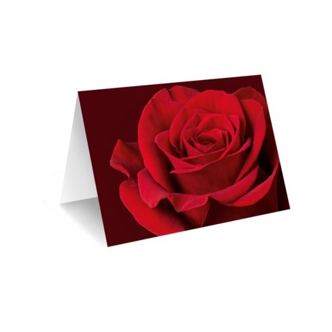 Grußkarte 'rote Rose' Bild 1